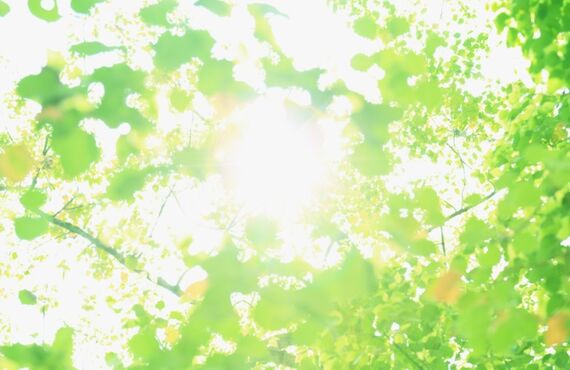 マンションの西日対策を景観損なわず致します。広島で窓ガラスフィルムを丁寧に施工・株式会社縁